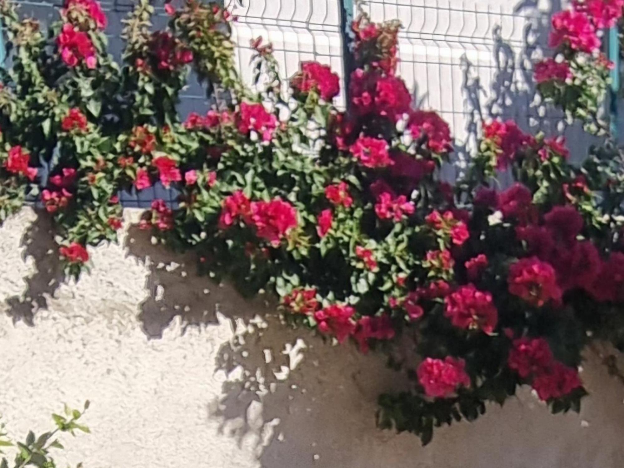 Vila Megi-Rent Room Vlorë Eksteriør bilde