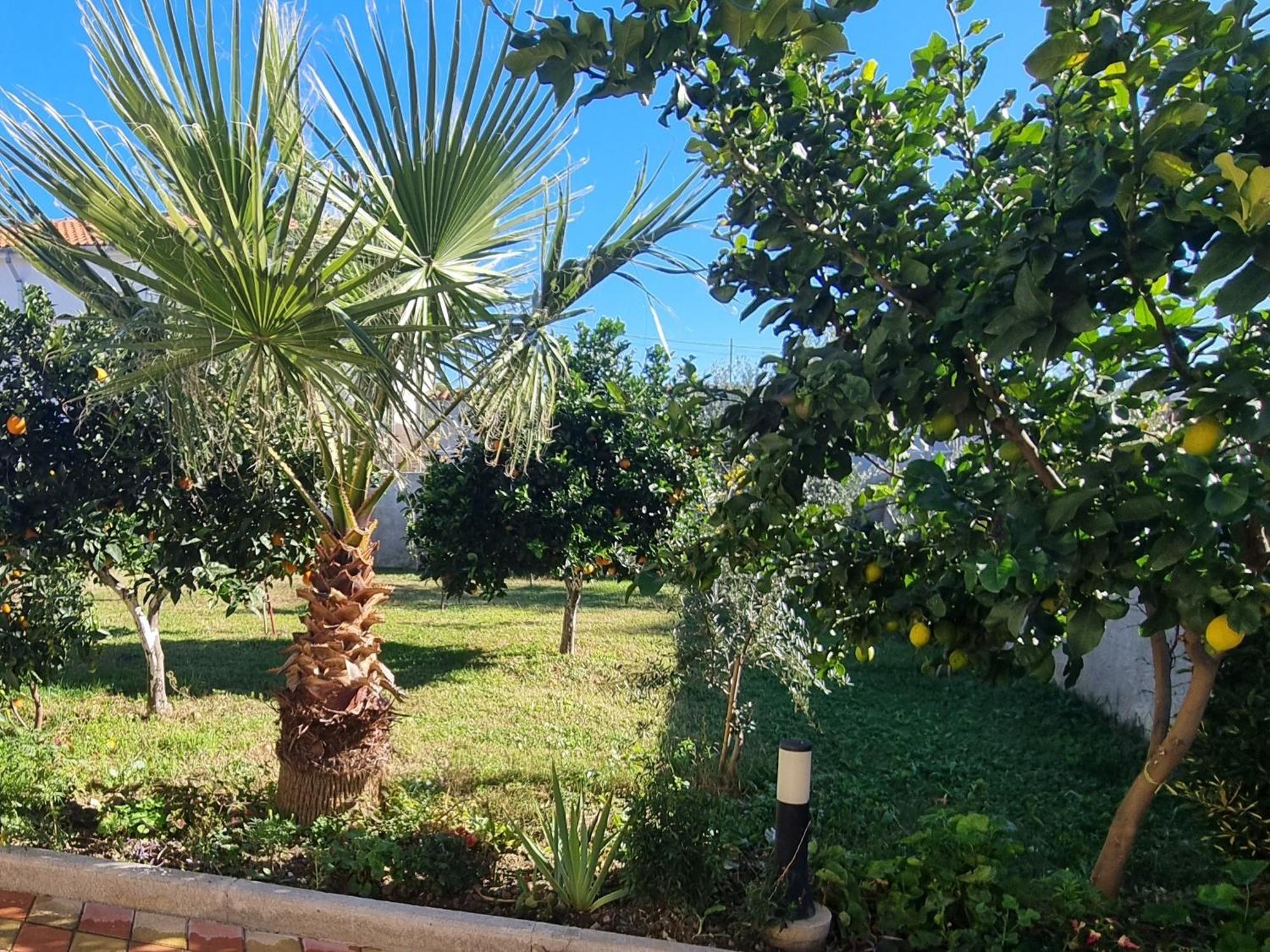 Vila Megi-Rent Room Vlorë Eksteriør bilde